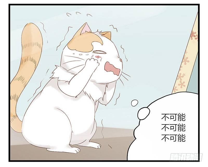 第十六话 我是猫了？-第16话