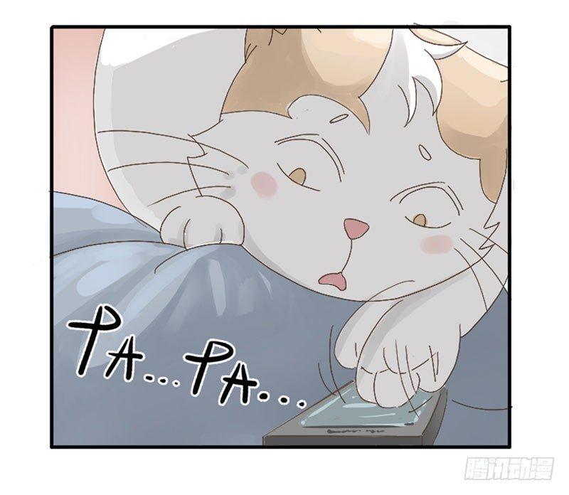 第三十八话 撬墙角-第38话