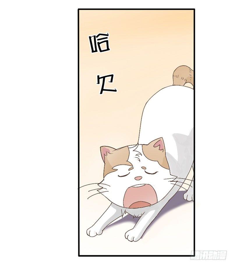第三十八话 撬墙角-第38话