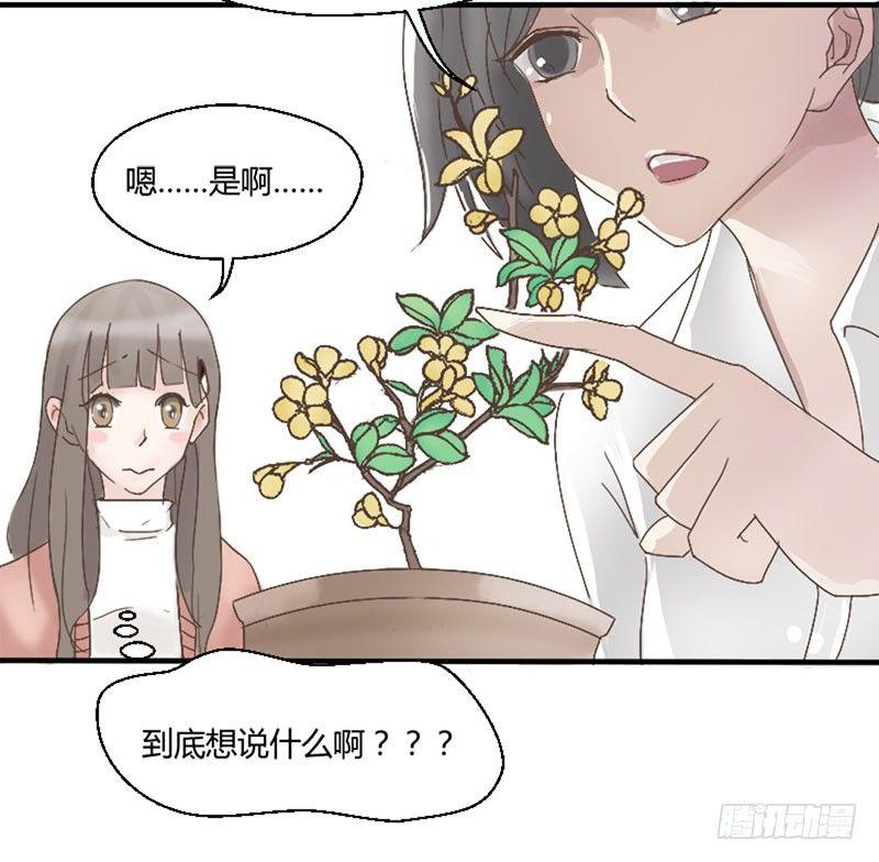 第三十八话 撬墙角-第38话