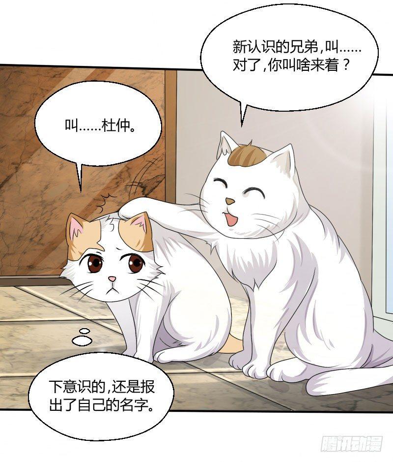 第四十二话 杜仲出走-第42话