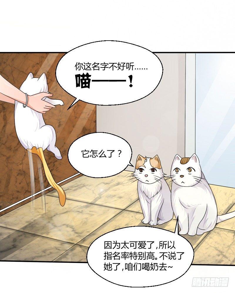 第四十二话 杜仲出走-第42话