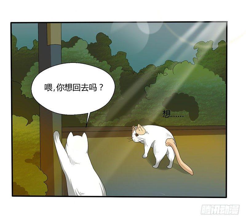 第四十四话 她来了！-第44话