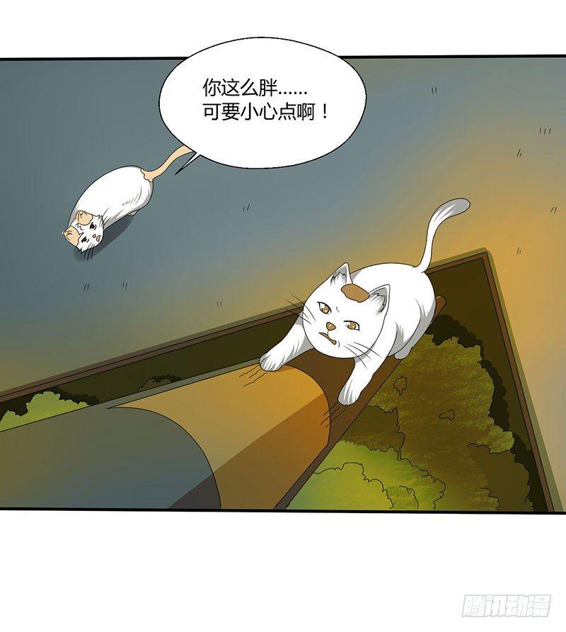 第四十四话 她来了！-第44话
