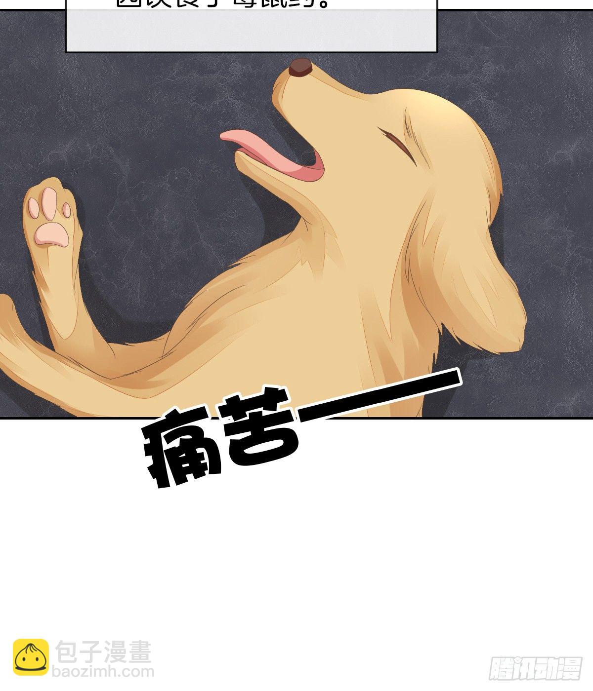 灵魂互换的真相(1/2)-第18话