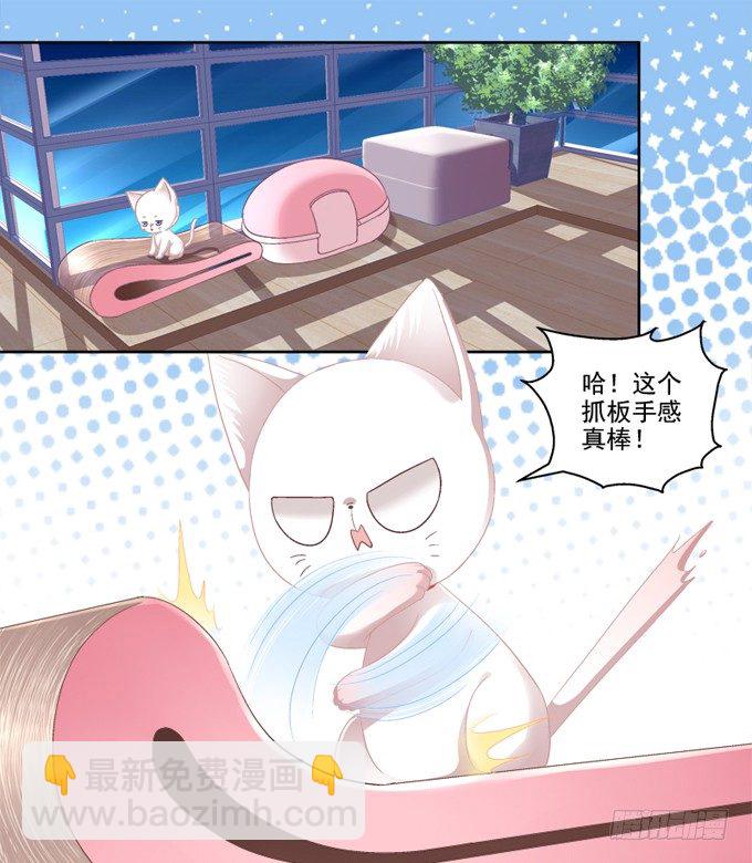 你是我的猫-第2话