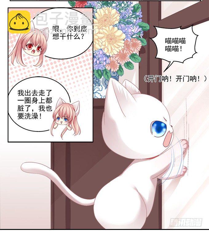 你是我的猫-第2话