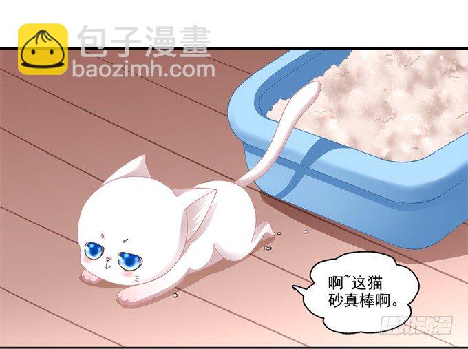 你是我的猫-第2话