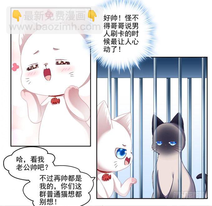 你是我的猫-第2话
