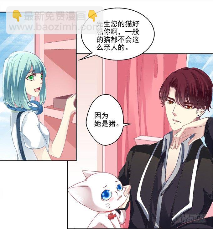 你是我的猫-第2话