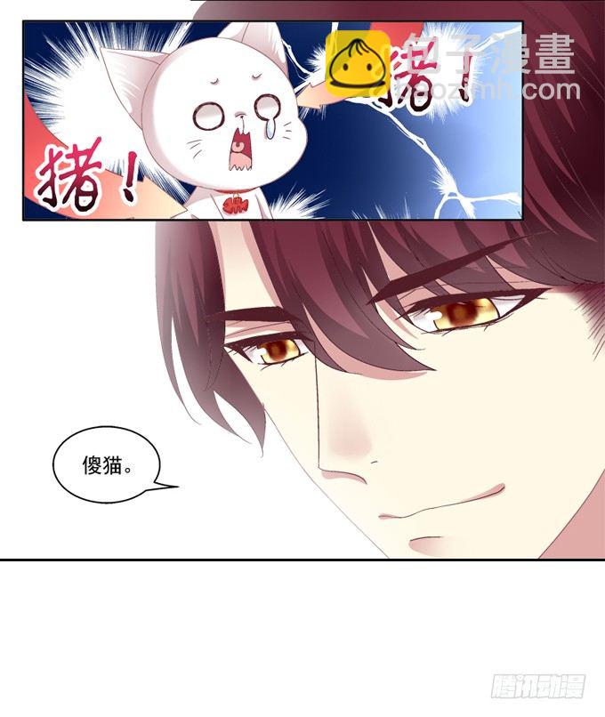 你是我的猫-第2话