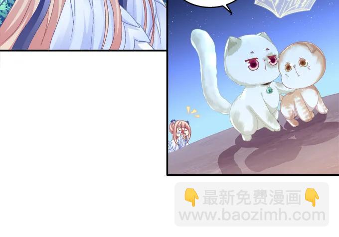 英猫救美！(1/2)-第116话