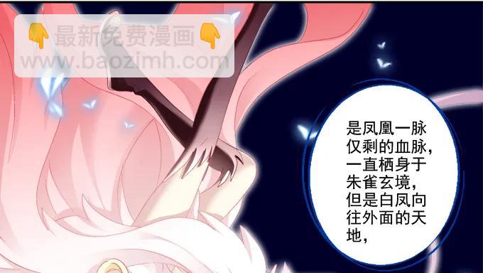 英猫救美！(1/2)-第116话