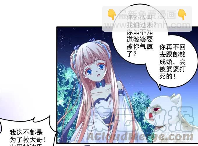 英猫救美！(1/2)-第116话