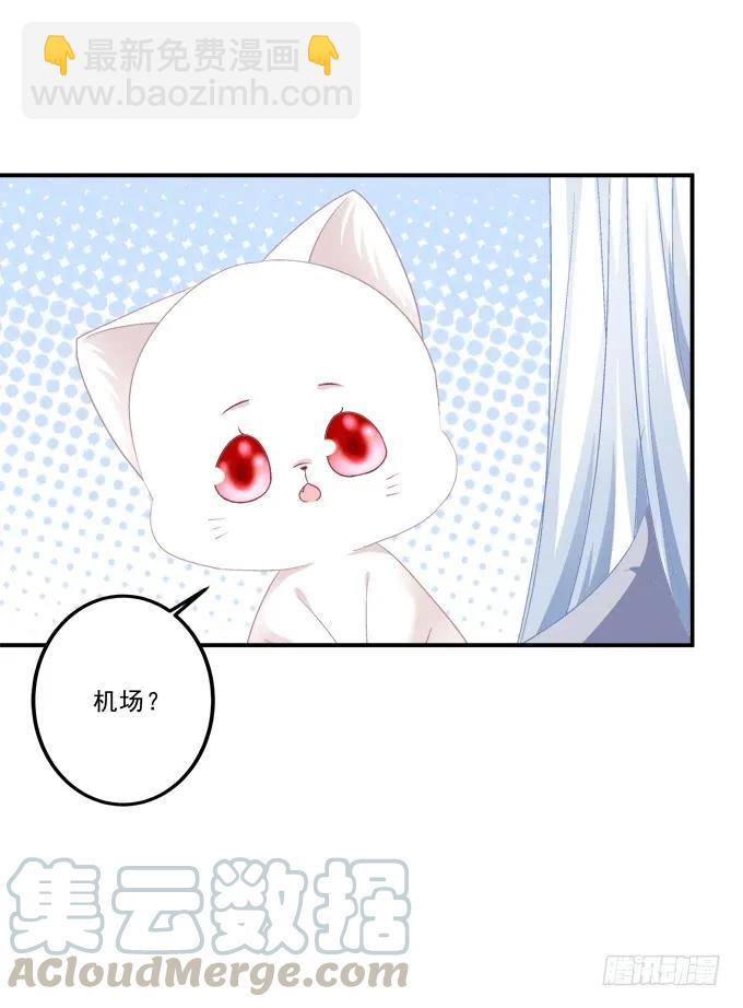 凤凰冢二(1/2)-第190话