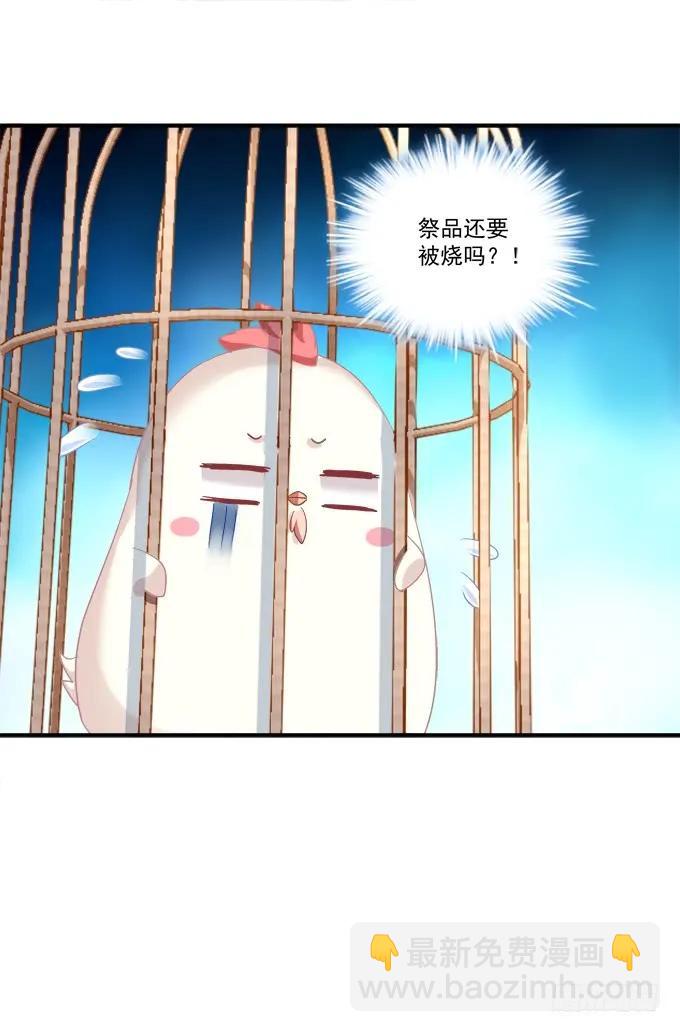 凤凰冢十(1/2)-第198话