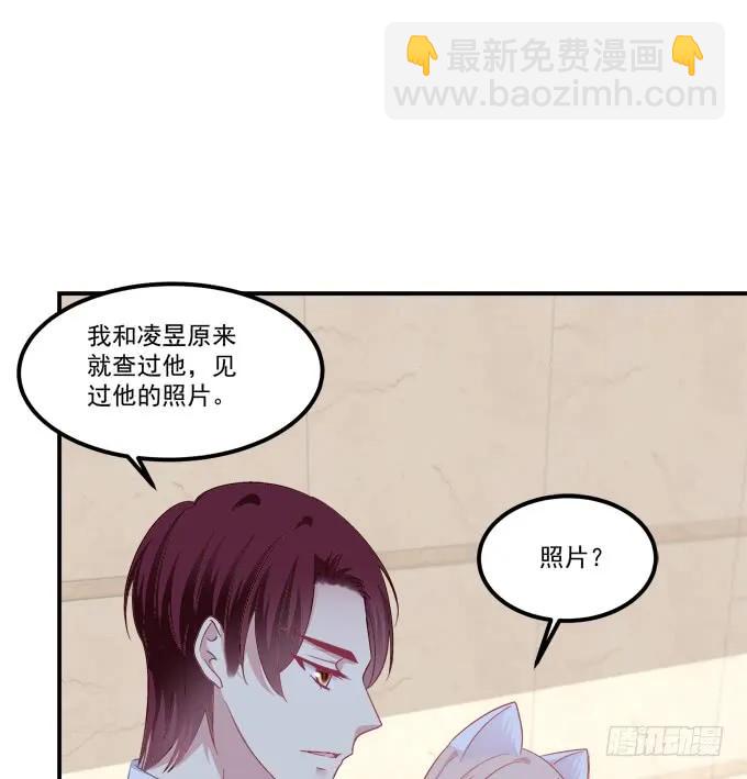 凤凰冢十六(1/2)-第204话