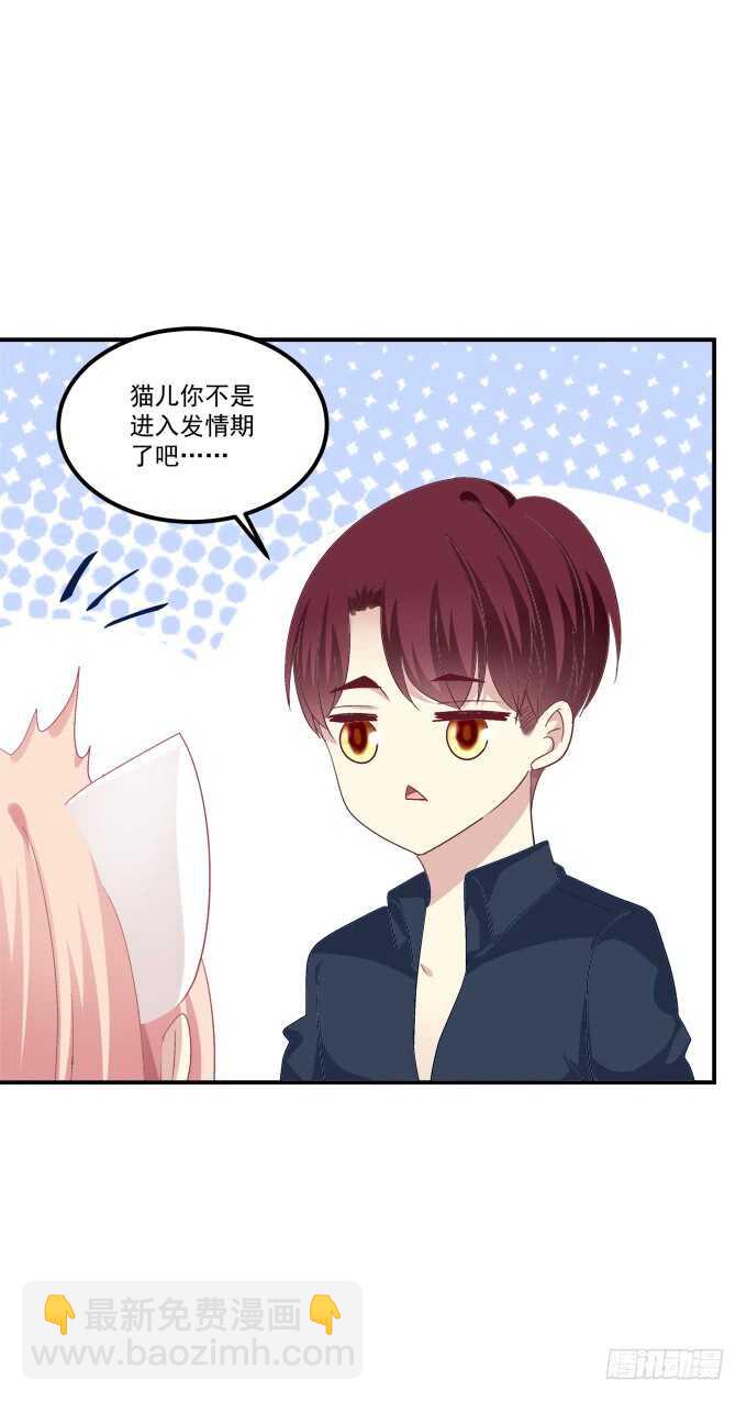 猫儿你这是在玩火！(1/2)-第214话