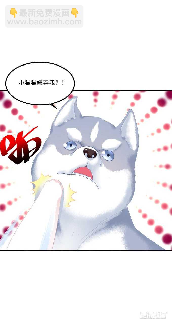 不要舔我！！(1/2)-第222话