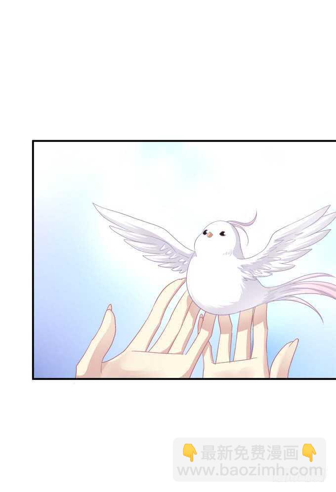 深夜约会！(1/2)-第224话