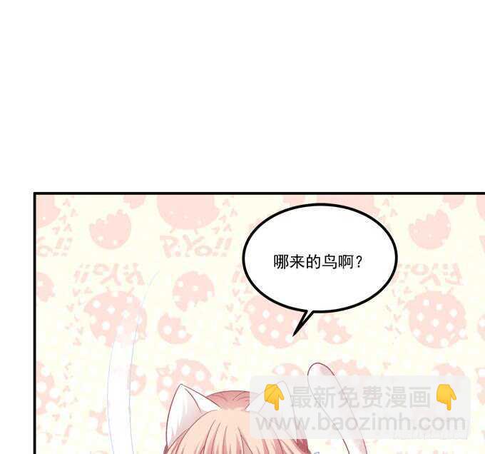 深夜约会！(1/2)-第224话