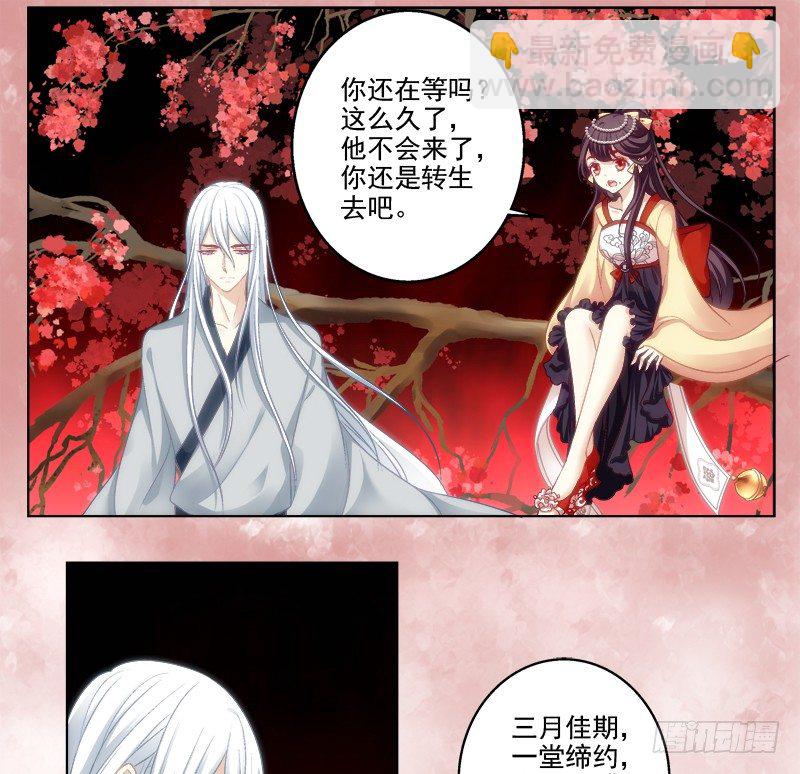 免费福利番外！-第258话