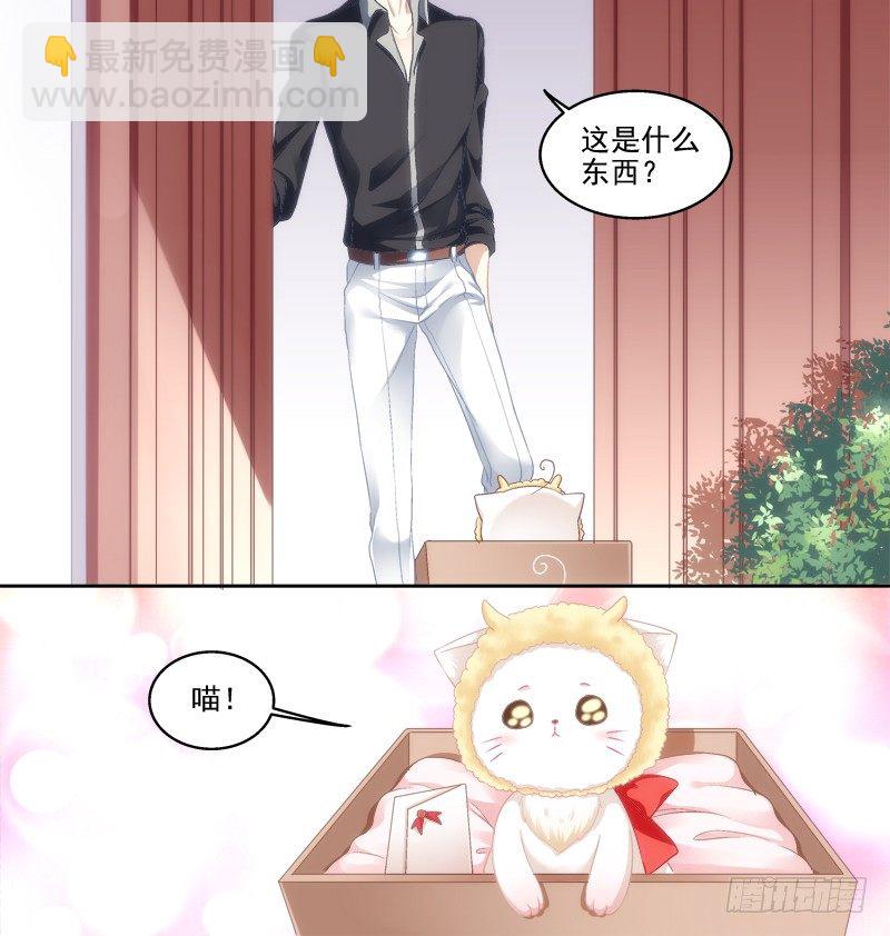 免费福利番外！-第258话