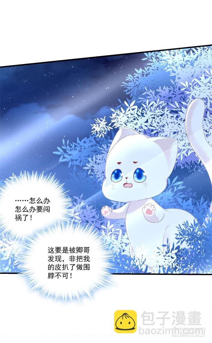 妖精！打一架！(1/2)-第280话