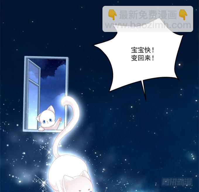 妖精！打一架！(1/2)-第280话