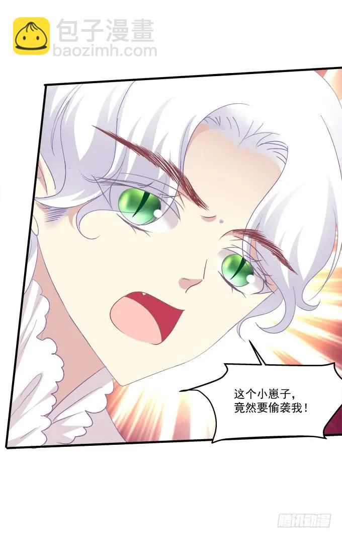 猫崽的爸爸到底是谁！(1/2)-第276话