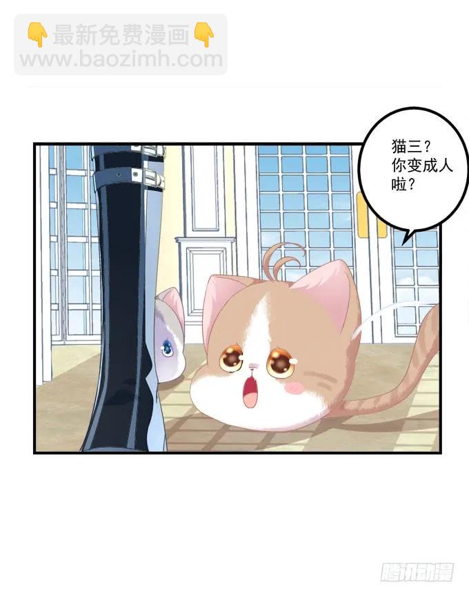 猫崽的爸爸到底是谁！(1/2)-第276话