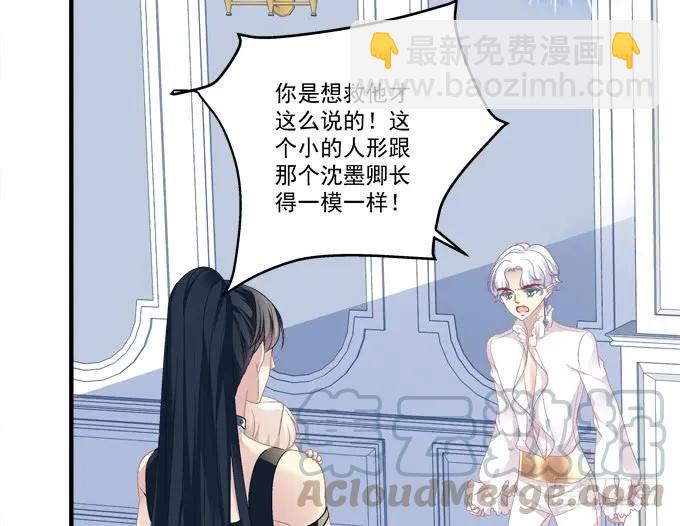 猫崽的爸爸到底是谁！(1/2)-第276话