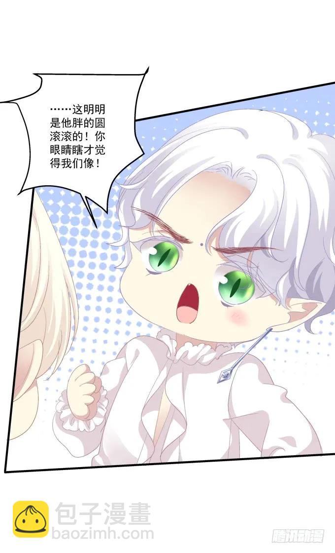 猫崽的爸爸到底是谁！(1/2)-第276话