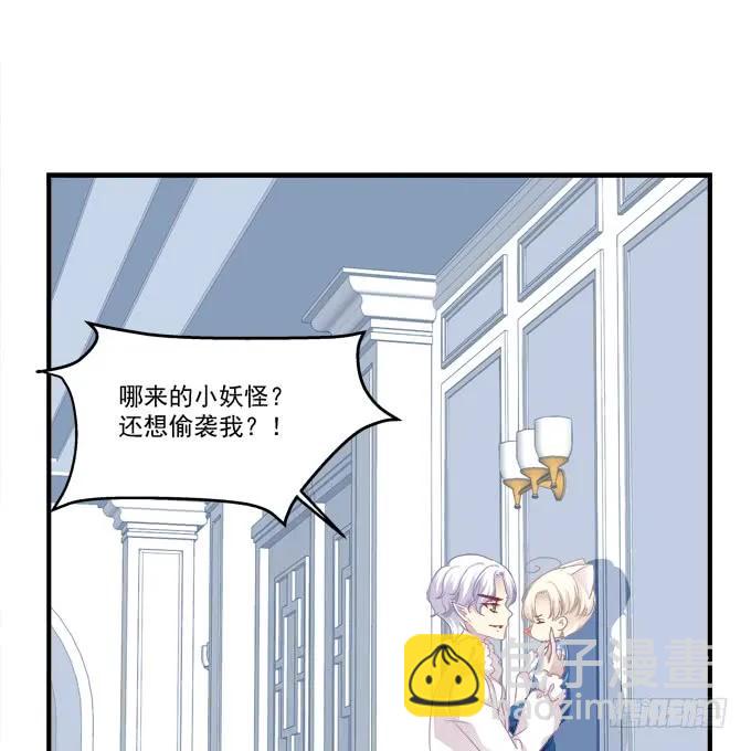 猫崽的爸爸到底是谁！(1/2)-第276话