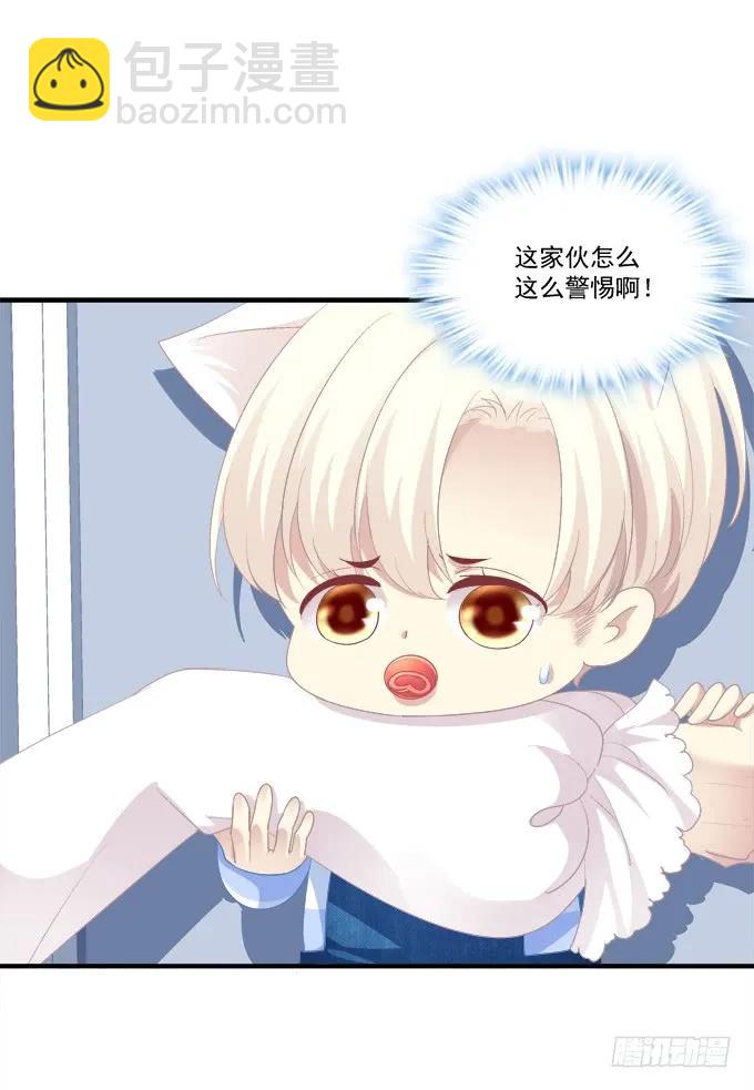 猫崽的爸爸到底是谁！(1/2)-第276话