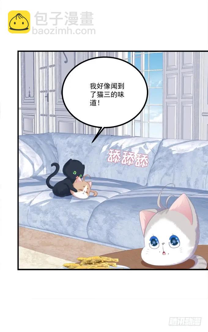 猫崽的爸爸到底是谁！(1/2)-第276话