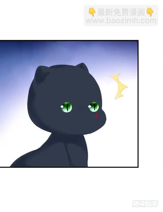 猫崽的爸爸到底是谁！(1/2)-第276话