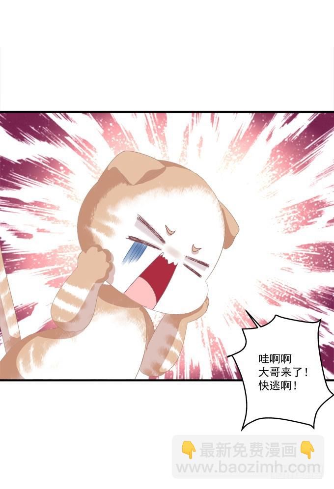完成你的心愿！(1/2)-第296话