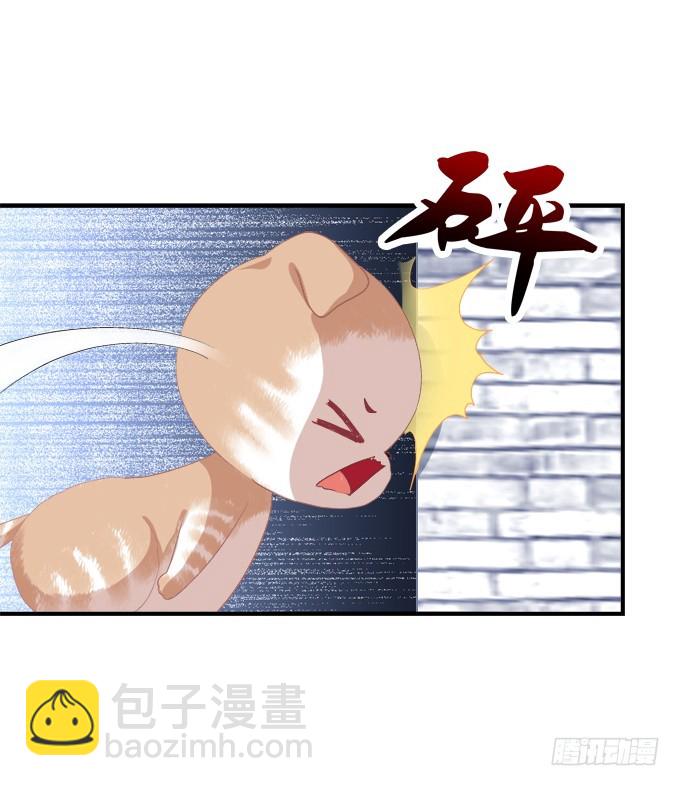 完成你的心愿！(1/2)-第296话