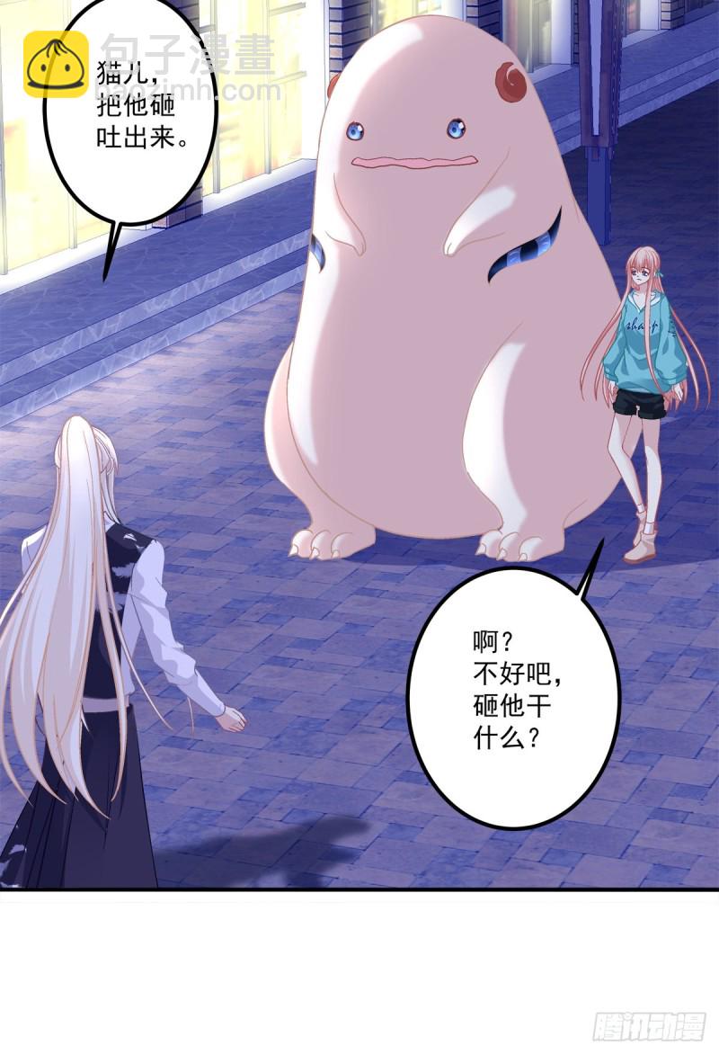 猫肉炸弹(1/2)-第342话