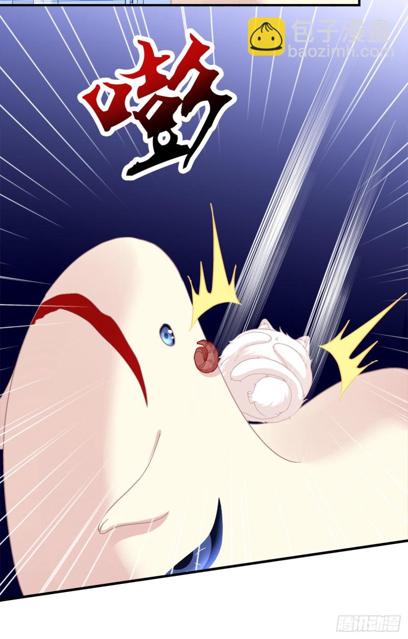 猫肉炸弹(1/2)-第342话