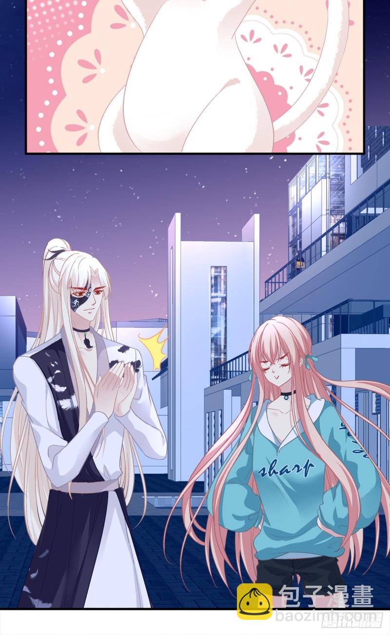 猫肉炸弹(1/2)-第342话