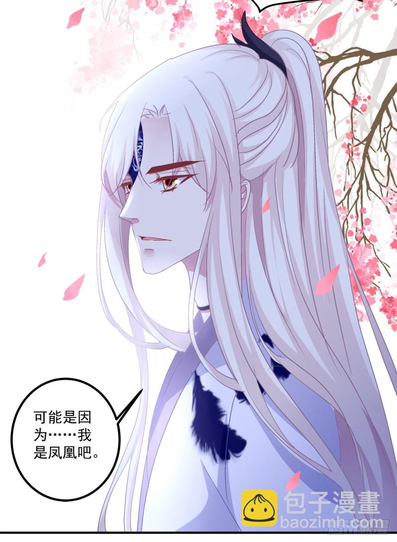 猫肉炸弹(1/2)-第342话