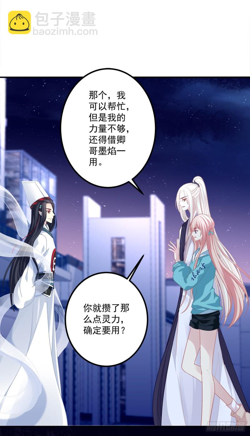 猫肉炸弹(1/2)-第342话