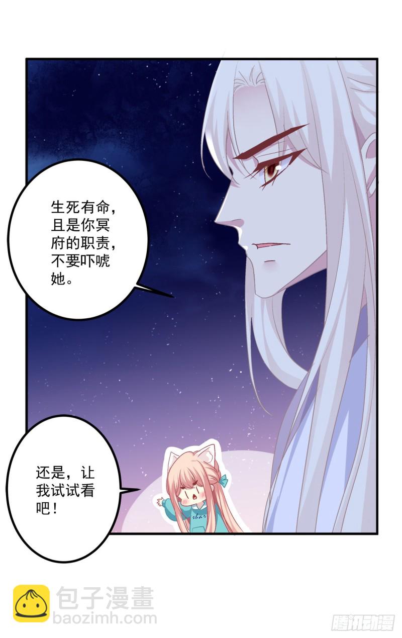 猫肉炸弹(1/2)-第342话