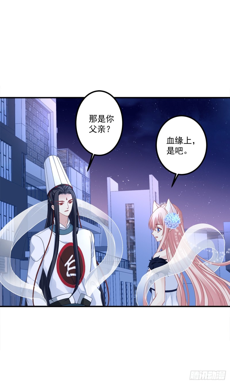 猫儿出轨？！-第344话
