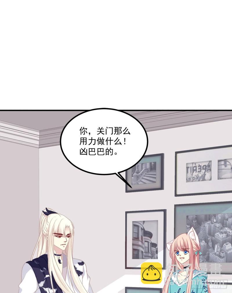 猫儿出轨？！-第344话