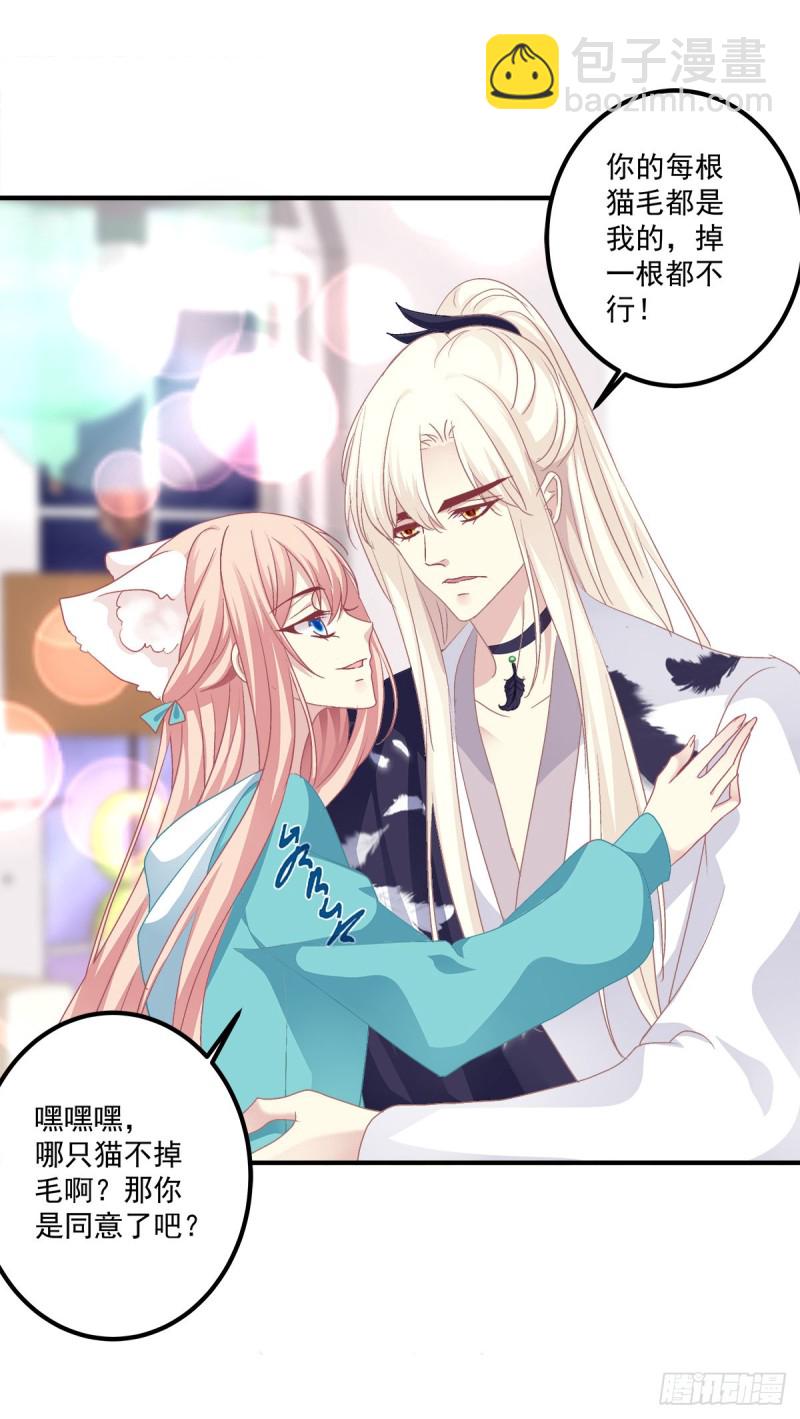 猫儿出轨？！-第344话