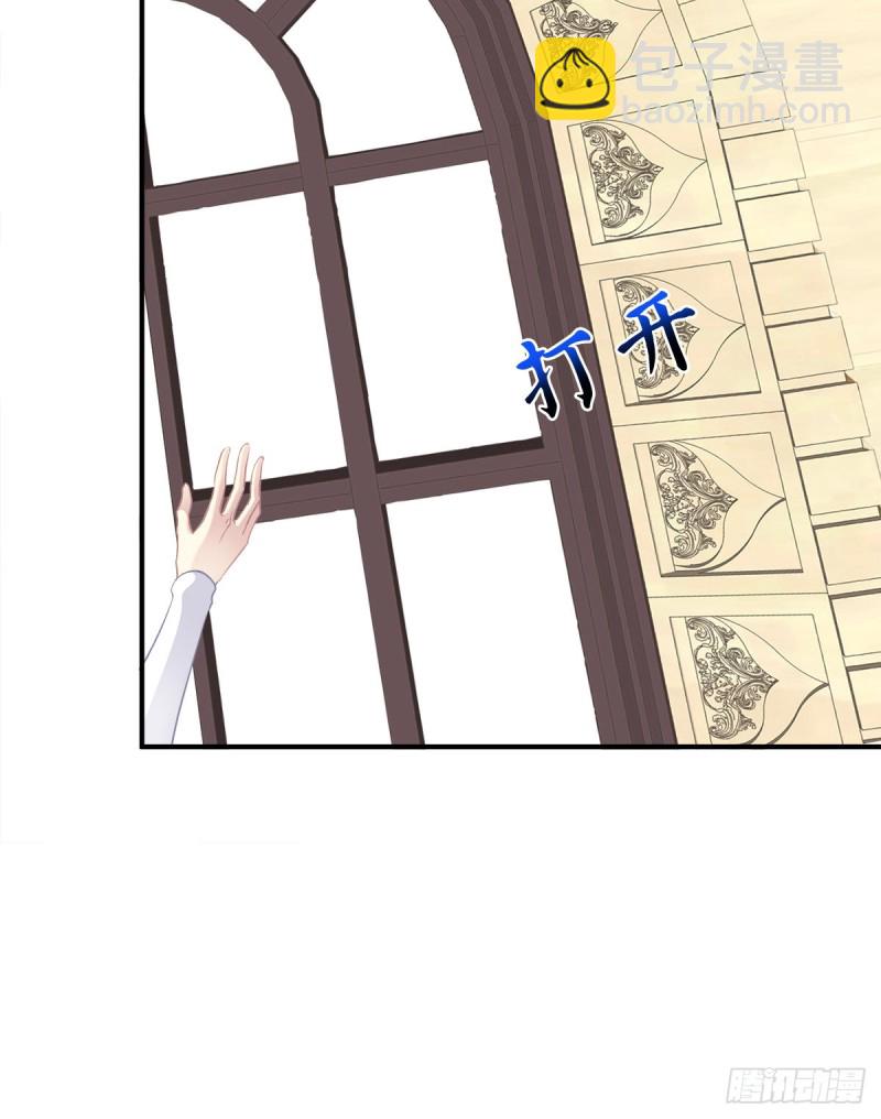 猫儿出轨？！-第344话