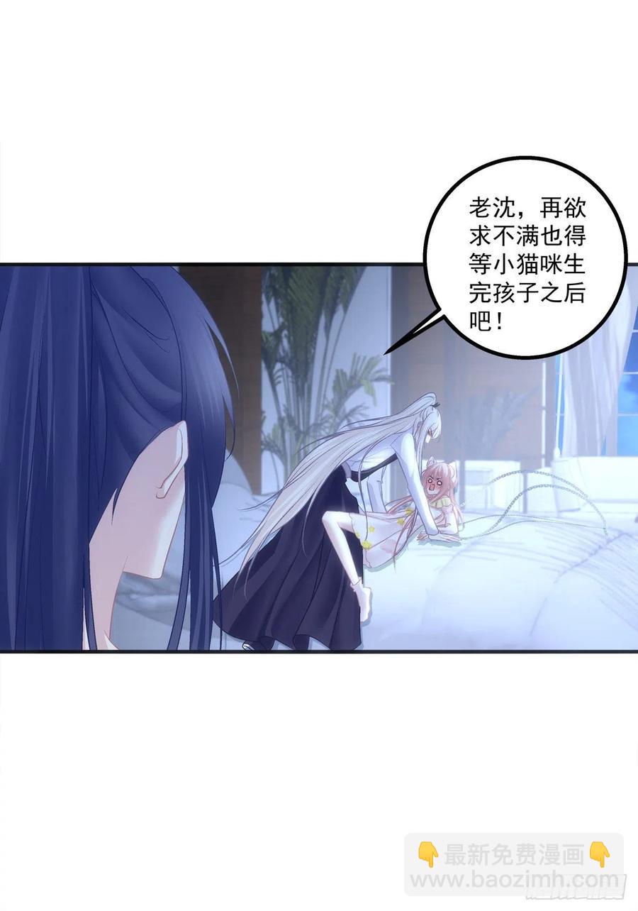 胖橘归来！-第394话